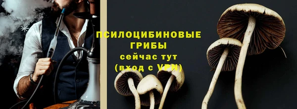 трава Козельск