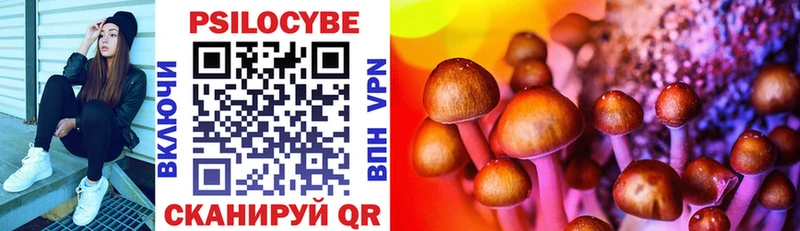 Псилоцибиновые грибы Psilocybe  Купить закладки  Волжск 